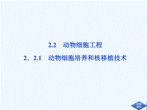 高中生物同步课件2.2.1动物细胞培养和核移植技术(新人教版选修3).ppt