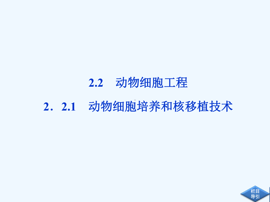 高中生物同步课件2.2.1动物细胞培养和核移植技术(新人教版选修3).ppt_第1页