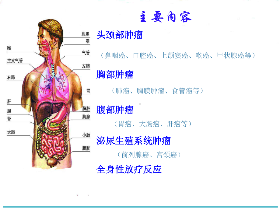 鼻咽癌放疗并发症与护理课件.ppt_第2页