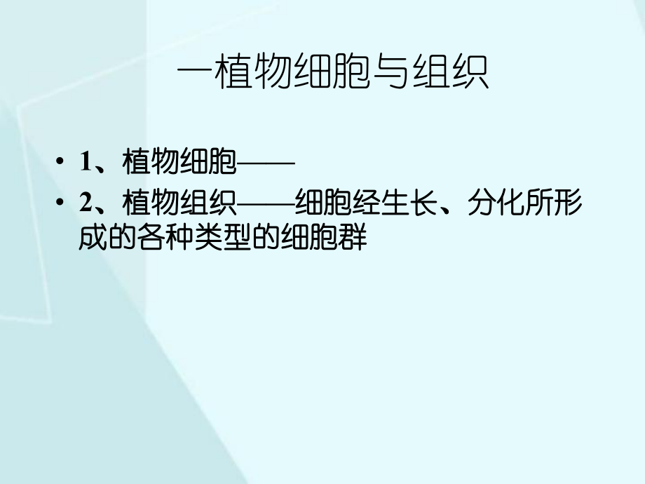 植物细胞与组织(同名11)课件.ppt_第2页