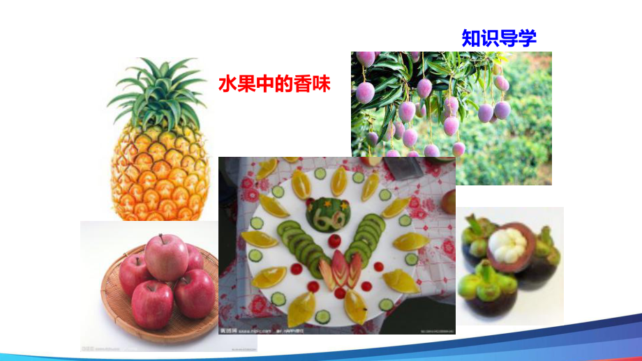 高中化学《酯》精品公开课PPT课件.ppt_第2页