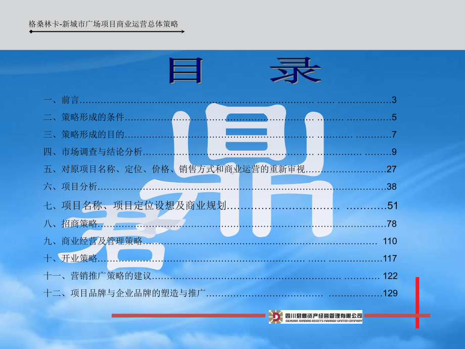 西藏拉萨格桑林卡新城市商业广场项目运营总案-136PPT.pptx_第2页