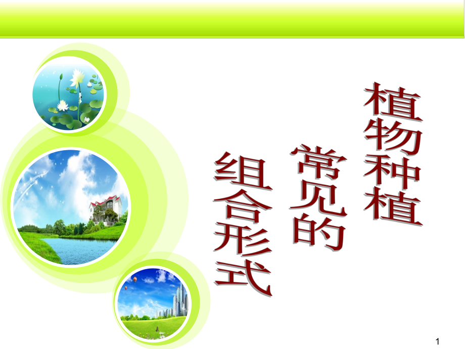 植物种植形式(精选PPT)课件.ppt_第1页