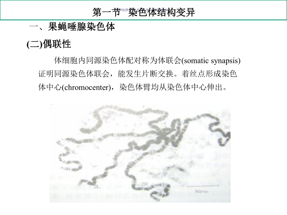 染色体畸变专业知识讲解课件.ppt_第3页