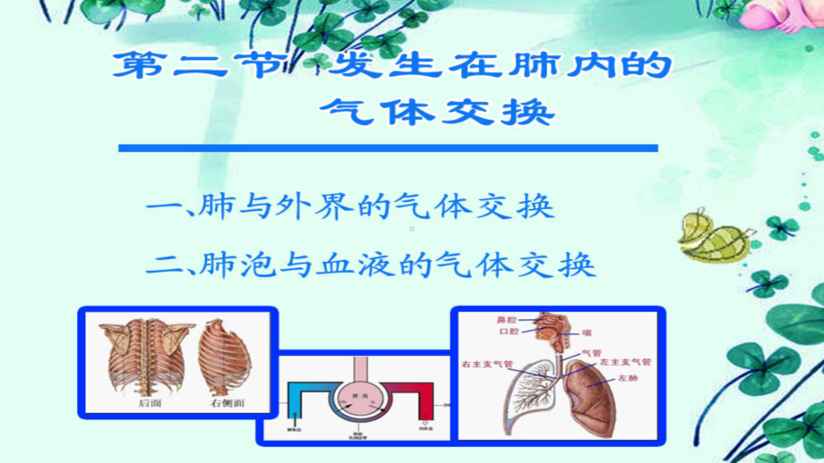 七年级《发生在肺里气体交换》优课一等奖课件.pptx_第2页