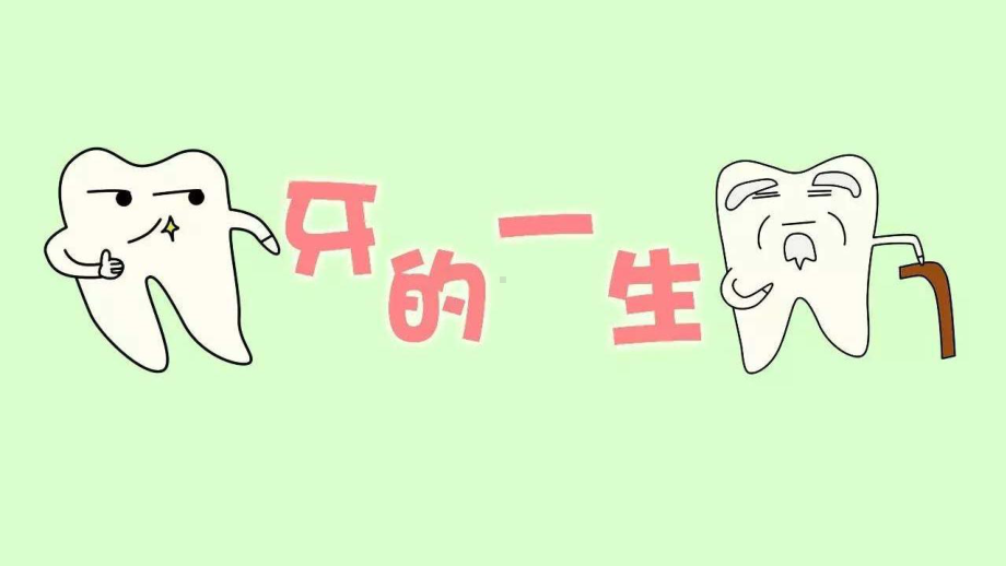 青少年口腔健康知识培训教材课件.ppt_第2页