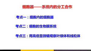 高中生物细胞器系统内的分工合作微课精品课件.ppt