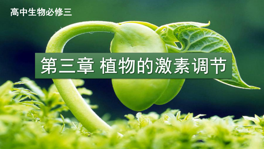 植物生长素的发现公开课-PPT课件.ppt_第2页