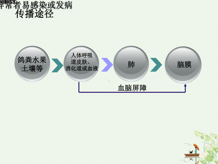 隐球菌脑膜炎护理查房课件ppt.ppt_第3页