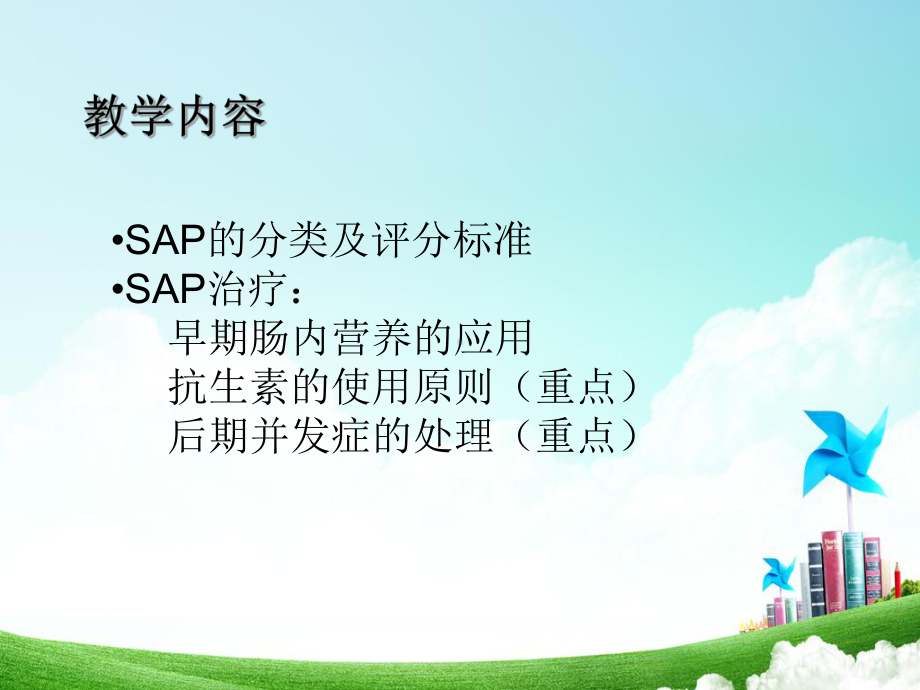 重症急性胰腺炎PPT课件.ppt_第2页