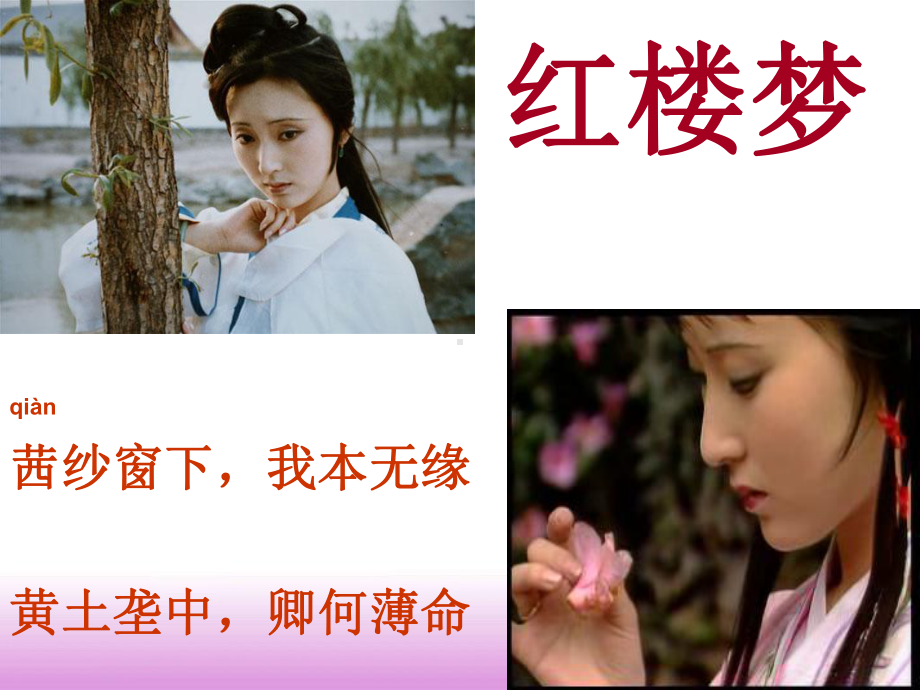 高一红楼梦精美课件.ppt_第1页