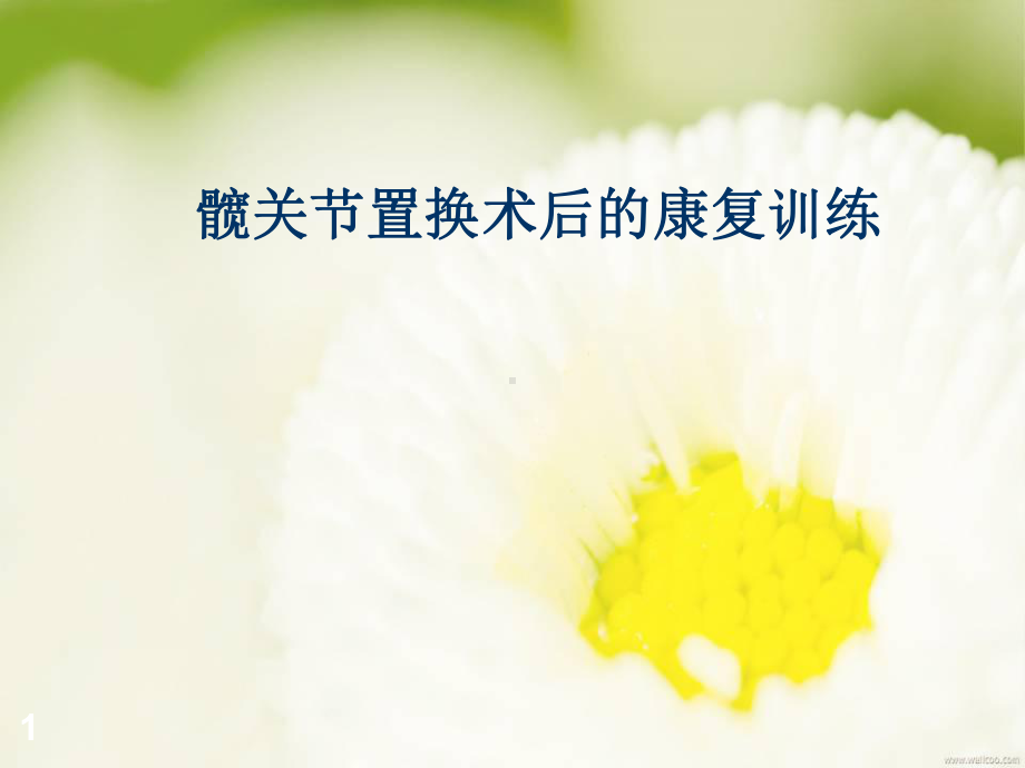 髋关节置换术后的康复训练精品PPT课件.pptx_第1页