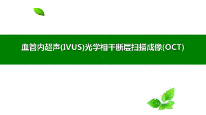 血管内超声(IVUS)光学相干断层扫描成像(OCT)培训学习讲解PPT课件.pptx