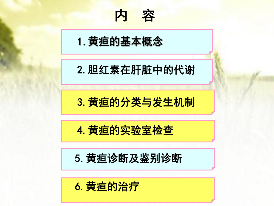 黄疸的诊断和治疗ppt课件.ppt_第2页