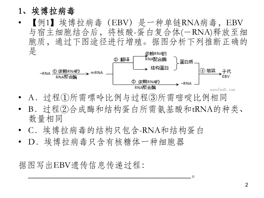 高中病毒细菌专题PPT课件.ppt_第2页