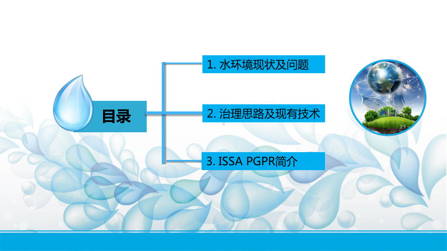 水体的原位修复技术ppt课件.ppt_第2页