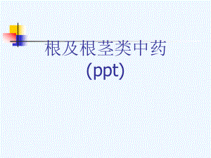 根及根茎类中药(ppt)课件.ppt