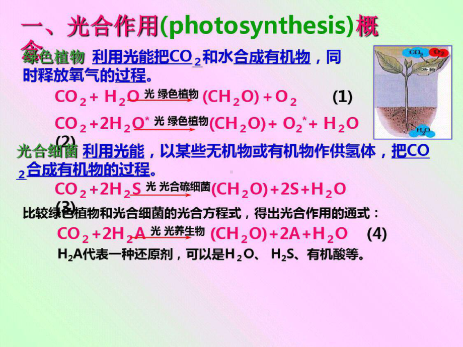 第八讲：绿色植物的光合色素ppt课件-完整版.pptx_第2页