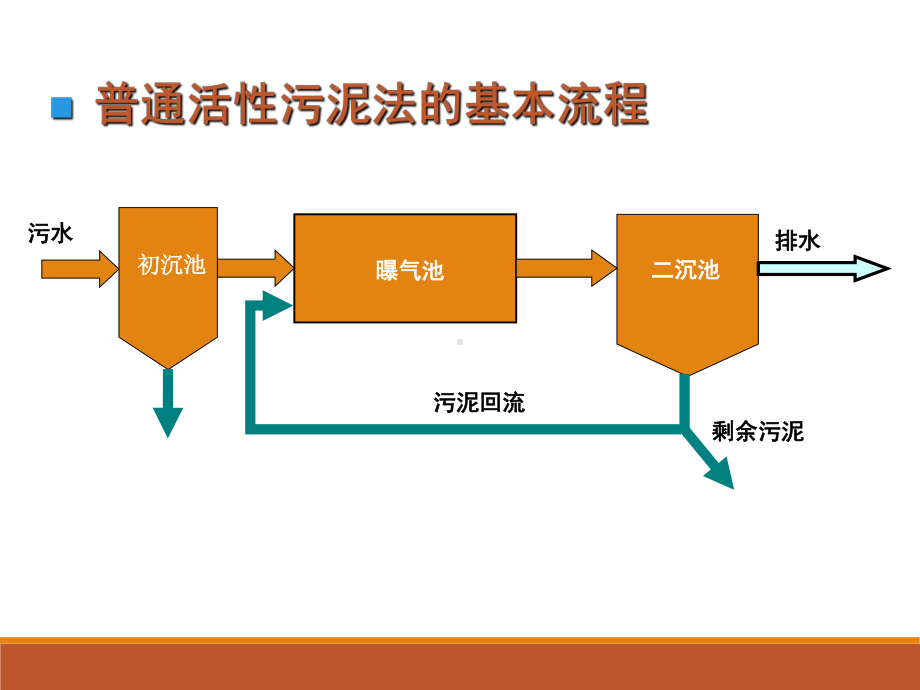 污水生物处理系统中的主要微生物课件.pptx_第1页