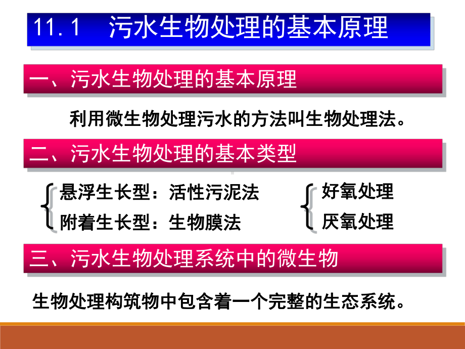 污水生物处理系统中的主要微生物课件.pptx_第2页