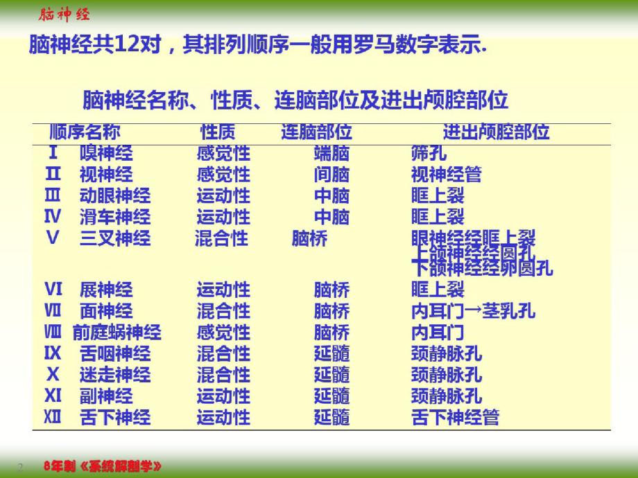 脑神经ppt课件-完整版.pptx_第2页