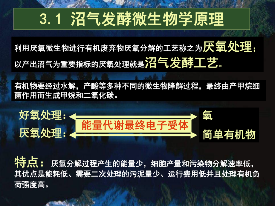 沼气发酵原理与设计课件.pptx_第2页