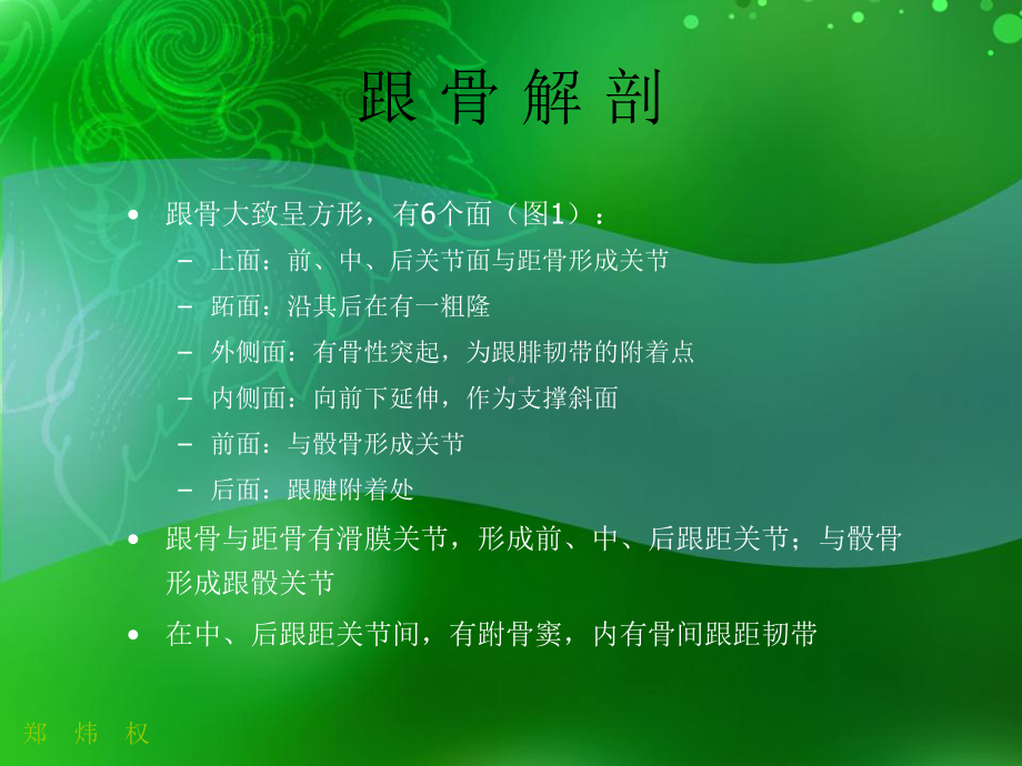 跟骨正常与变异-医学课件.ppt_第2页