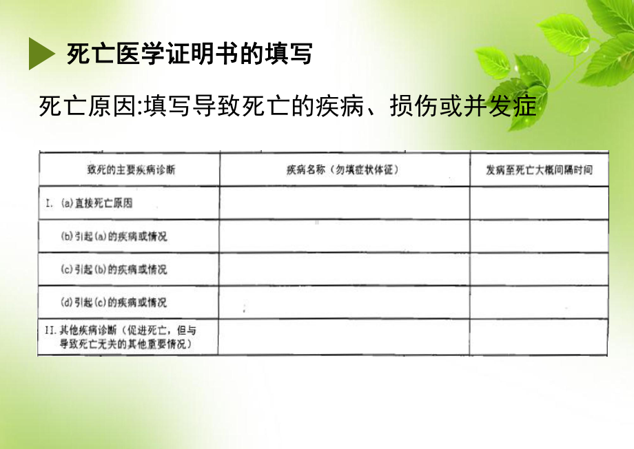 死因监测工作培训课件.pptx_第2页