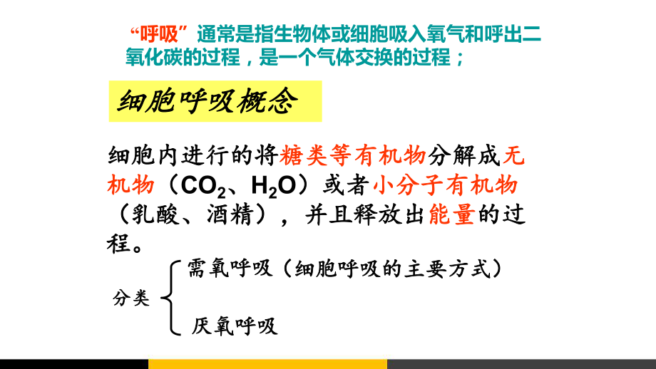 高中生物细胞呼吸微课课件.ppt_第3页