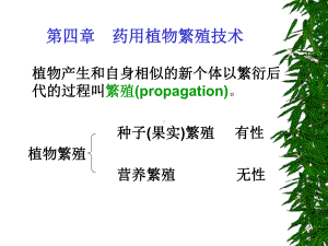 药用植物栽培学41改课件.pptx