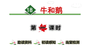 部编版四年级语文上册第六单元全套优质课件(统编版).ppt