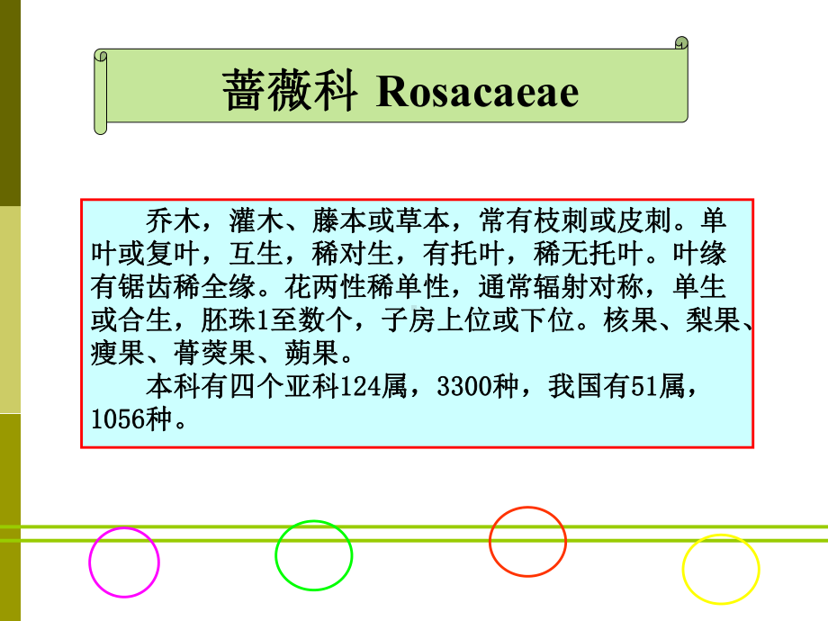 蔷薇科植物分类资料课件.ppt_第1页