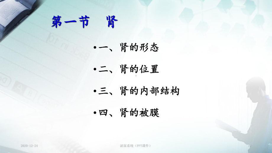 泌尿系统(PPT课件).ppt_第2页