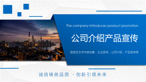 集团公司介绍ppt课件.pptx