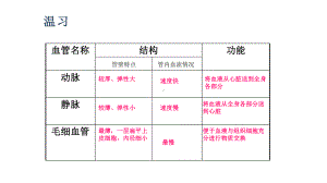 《输送血液的泵──心脏》备课组一等奖课件.pptx