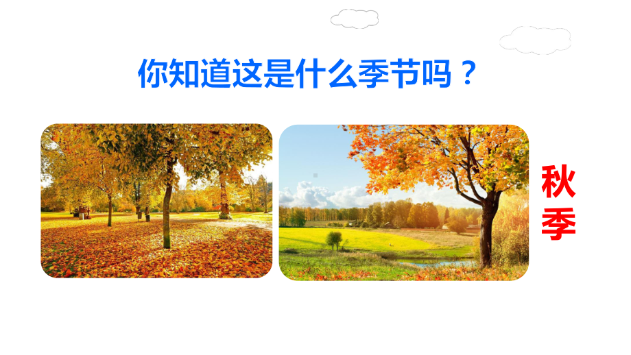 部编版三年级语文上册第二单元课件全套.ppt_第2页