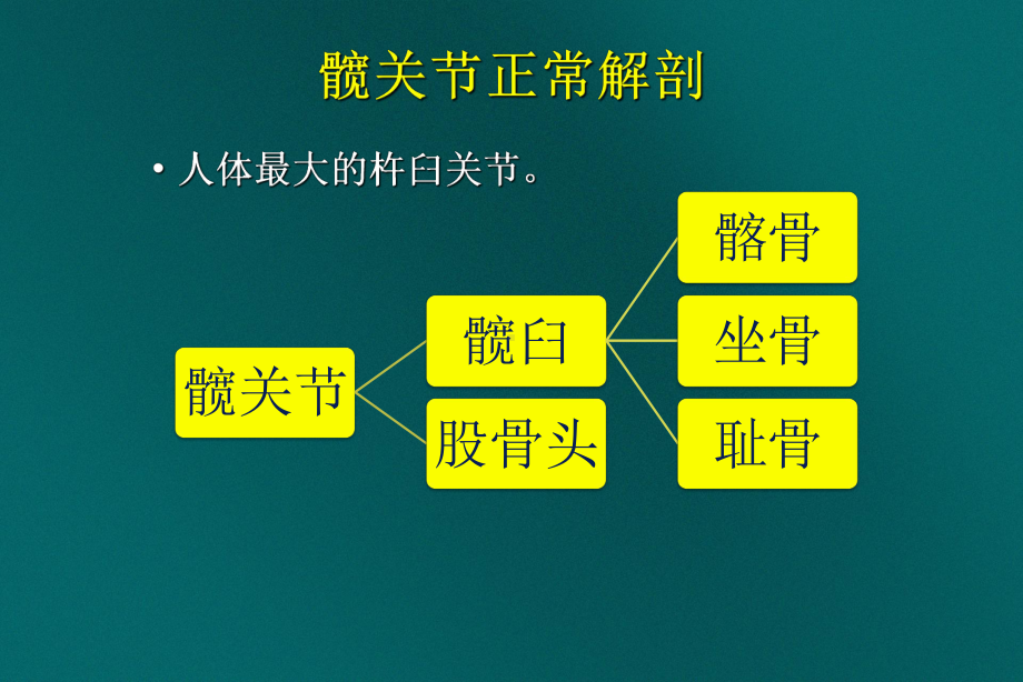 髋关节磁共振影像表现PPT课件.ppt_第3页