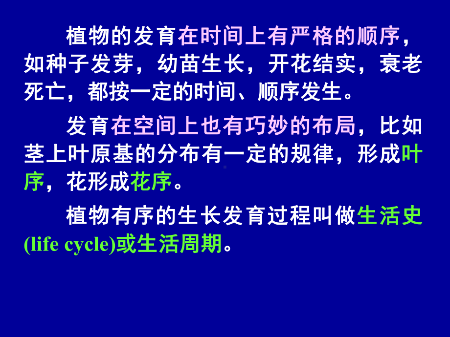 植物生理学植物的生长生理课件.pptx_第3页