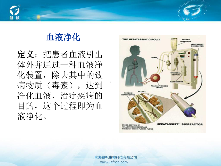 血液净化技术简介课件.pptx_第3页