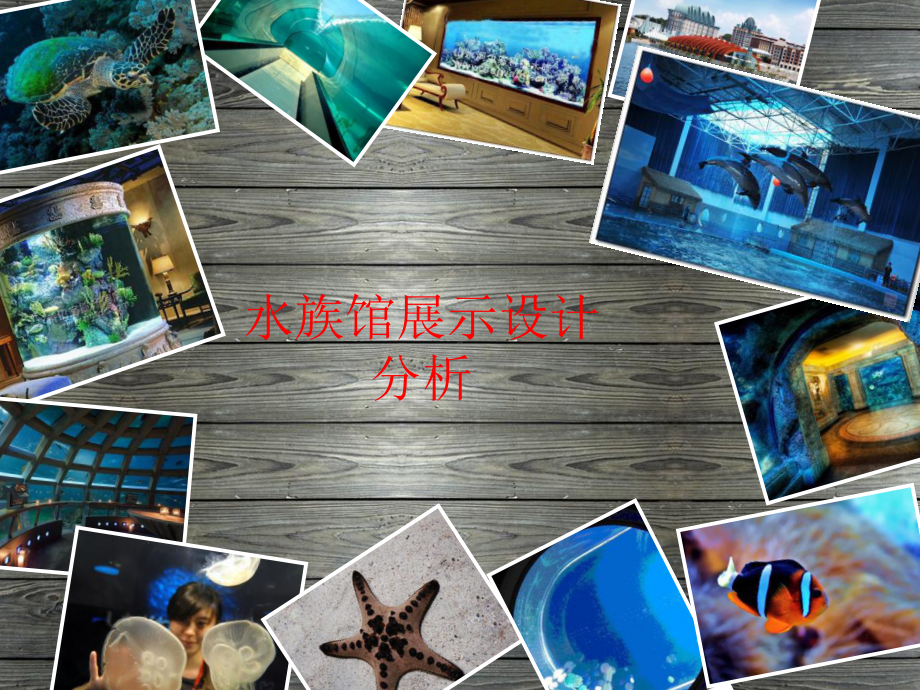 水族馆展示设计分析案例-蓝色星球课件.ppt_第1页