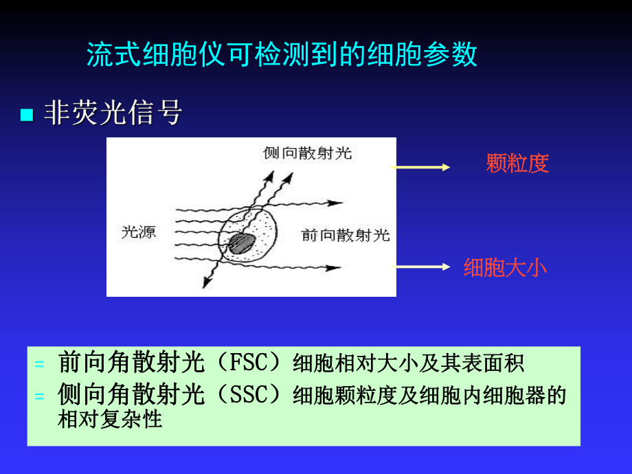 流式细胞术在科研中的应用描述课件.pptx_第3页