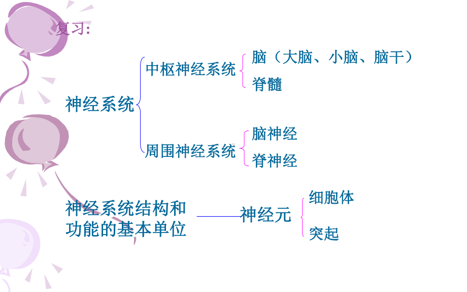 《神经调节的基本方式》优课一等奖课件.pptx_第1页