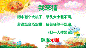 《输送血液的泵-心脏》一等奖优课课件.ppt.pptx