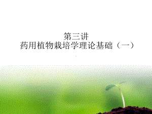 药用植物的生长与发育课件.ppt