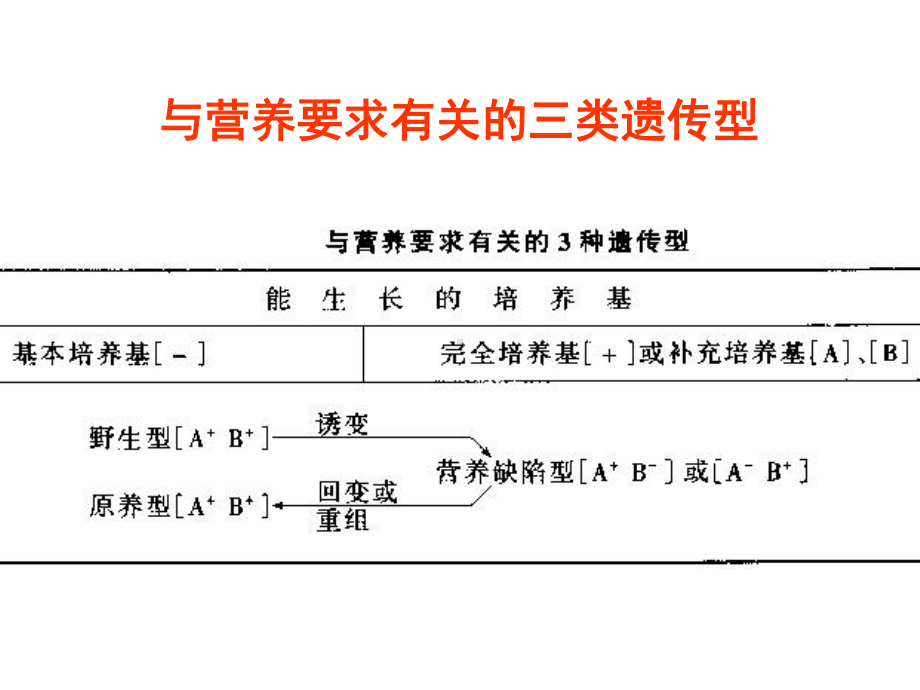 营养缺陷菌株筛选课件.pptx_第2页