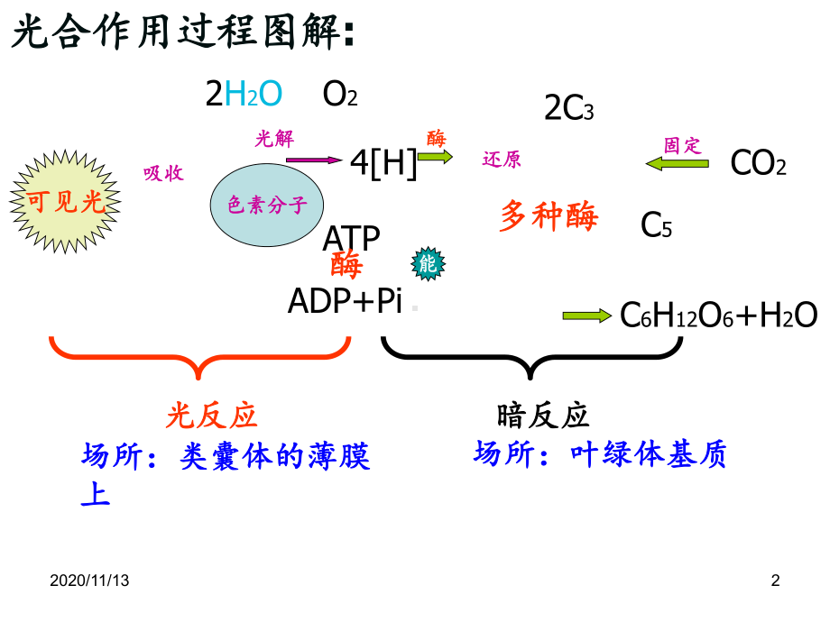 高三二轮复习光合作用与呼吸作用-ppt课件.ppt_第2页