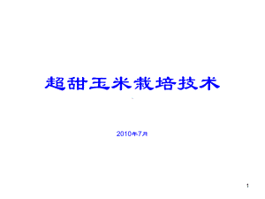 超甜玉米栽培技术农业局精品PPT课件.ppt