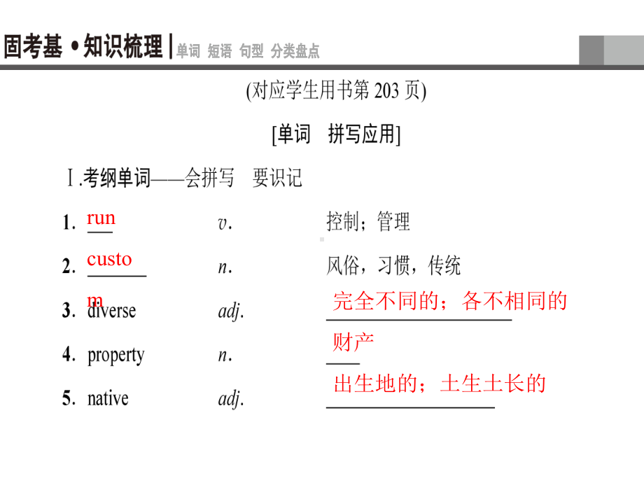 高三英语一轮复习Module5EthnicCulture课件外研版选修7.ppt_第3页