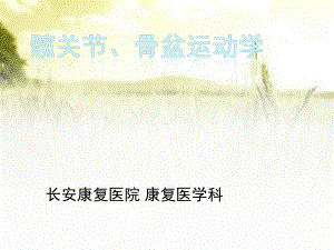 髋关节与骨盆运动学ppt课件.ppt