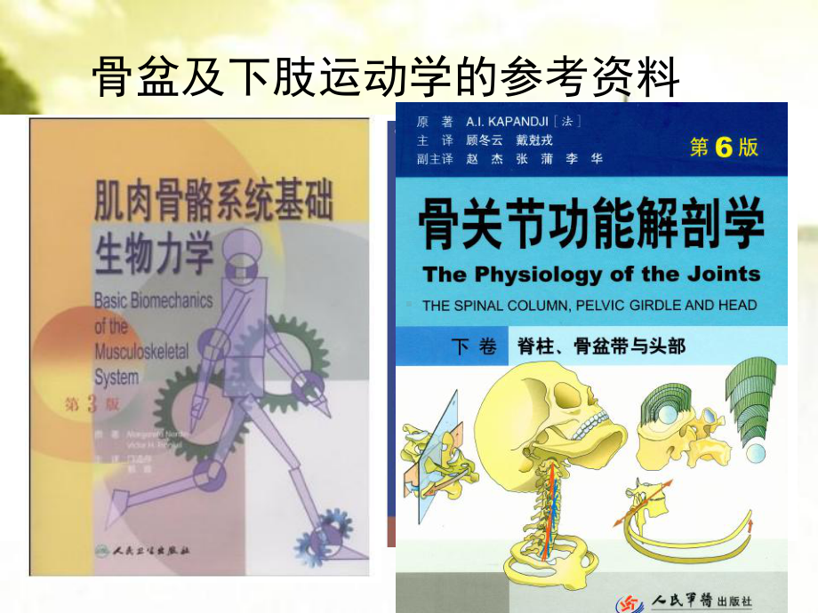 髋关节与骨盆运动学ppt课件.ppt_第2页